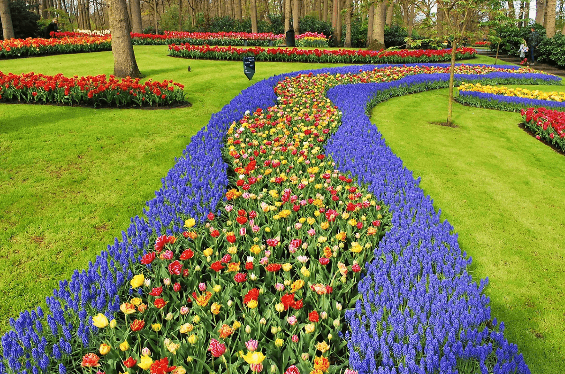 Keukenhof