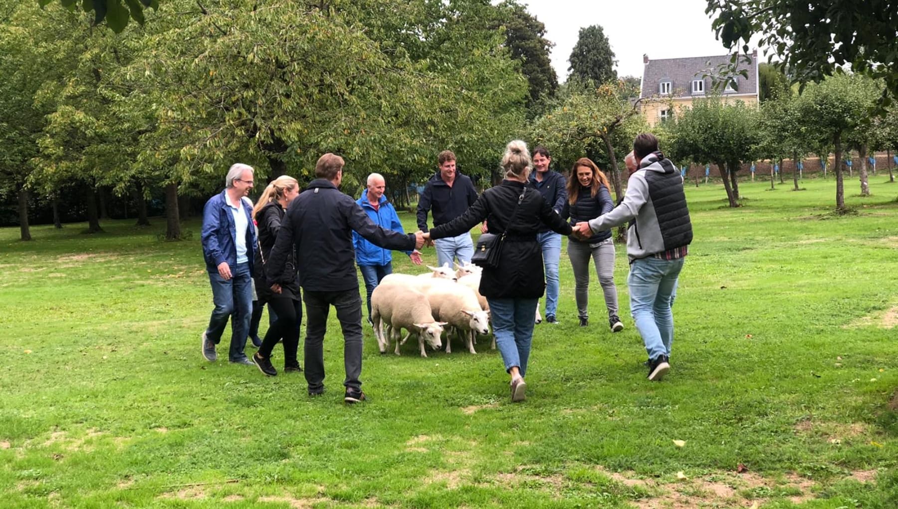 Holland Destination Management (DMC)