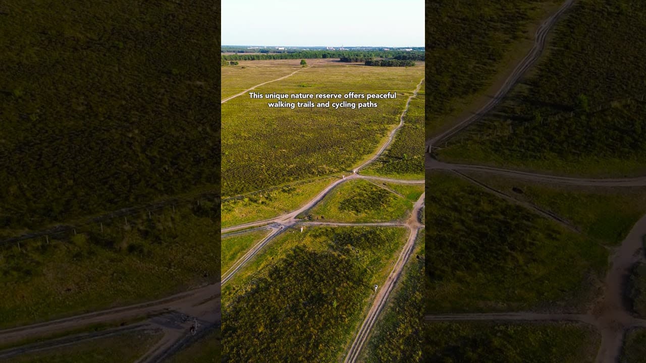 Taste the region - Video thumbnail