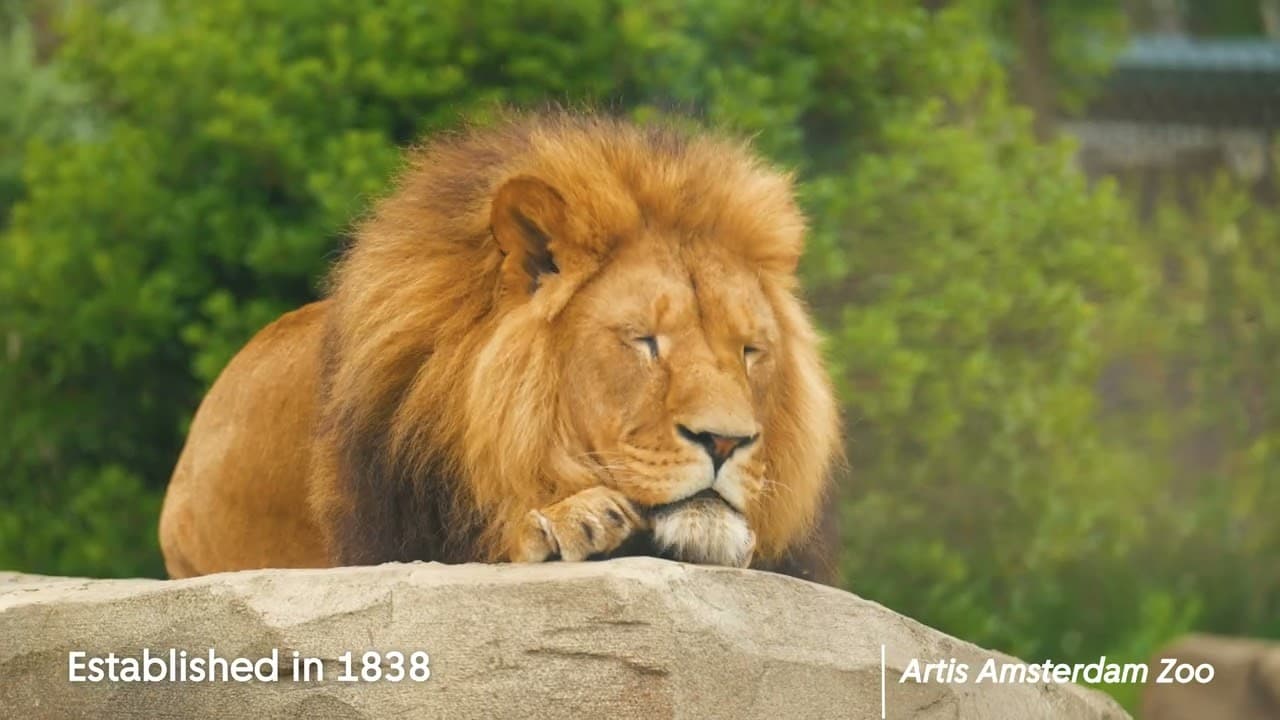 Take a tour of Amsterdam's unique venues - Video thumbnail