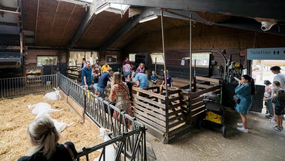 Geitenboerderij Ridammerhoeve people standing with the goats