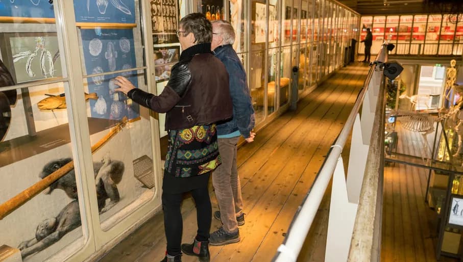 Elderly couple visiting the exhibition at Artis Groote Museum