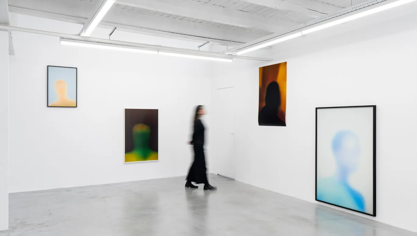 Stevenson Gallery: Mame-Diarra Niang, Installation view Æther, 2025