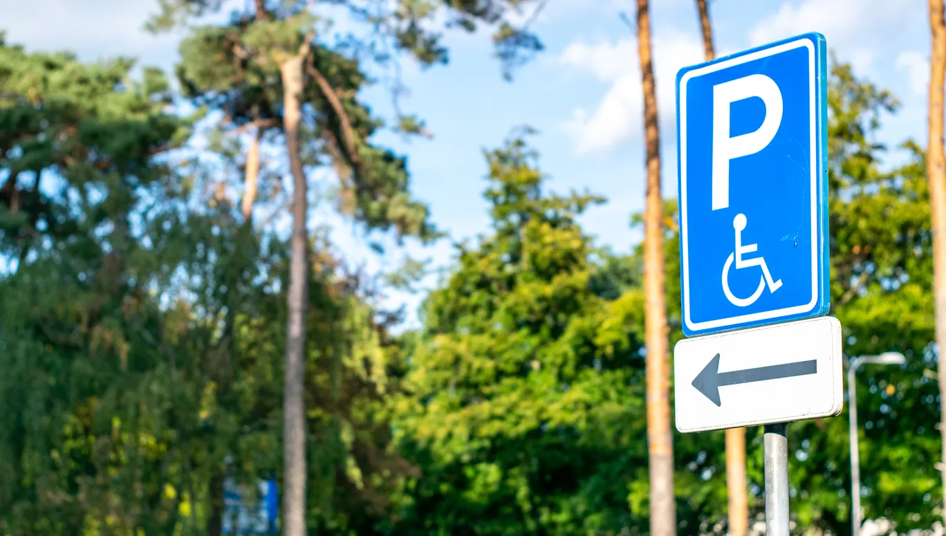 Dutch road sign: disabled parking space