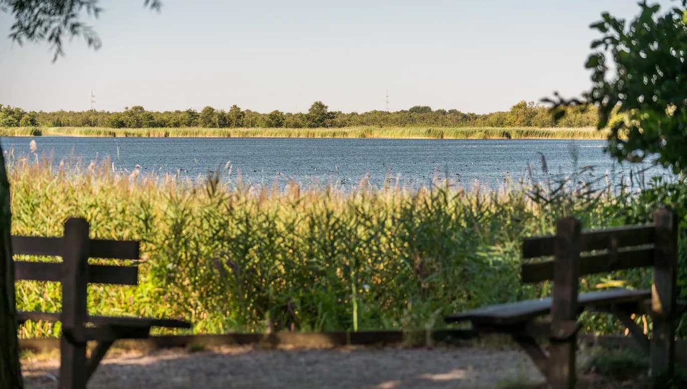 Het Naardermeer is a green oasis with clear water, dense swamp and marshy meadows.