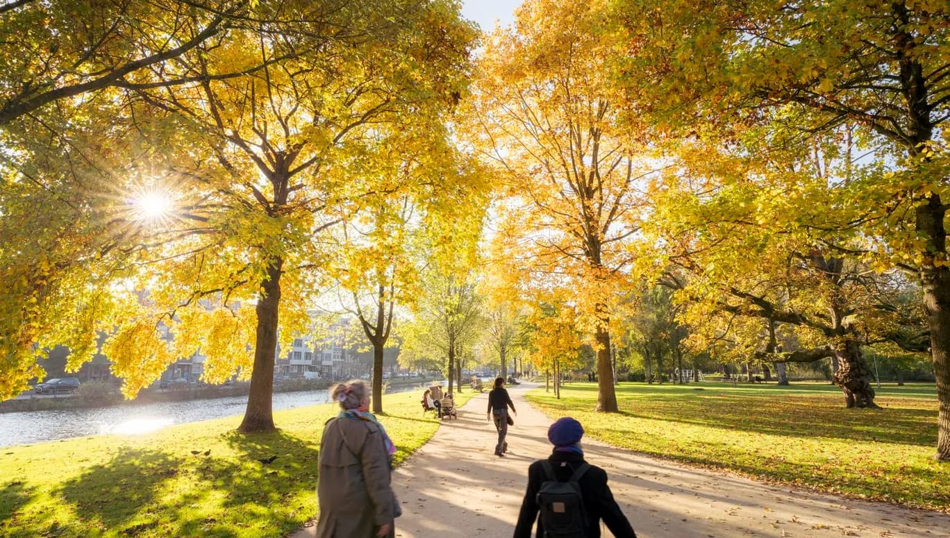 People taking a walk in a sunny Westerpark.