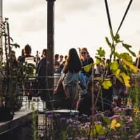 GAPP rooftop terrace with people