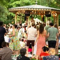 Music field with band playing during Artis Zoomeravonden Summer Nights zoo