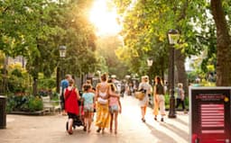 Artis Zoomeravonden Summer Nights zoo