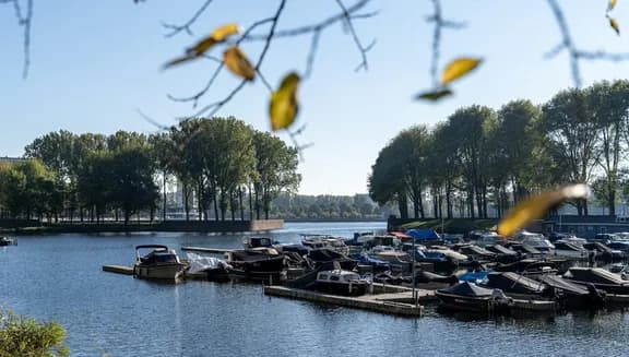 Sloterplas harbour and trees