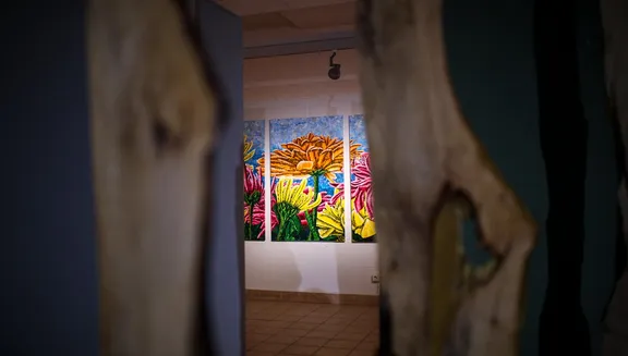 July 2024 Press Trip: Waterlines and lakeside views of Amsterdam