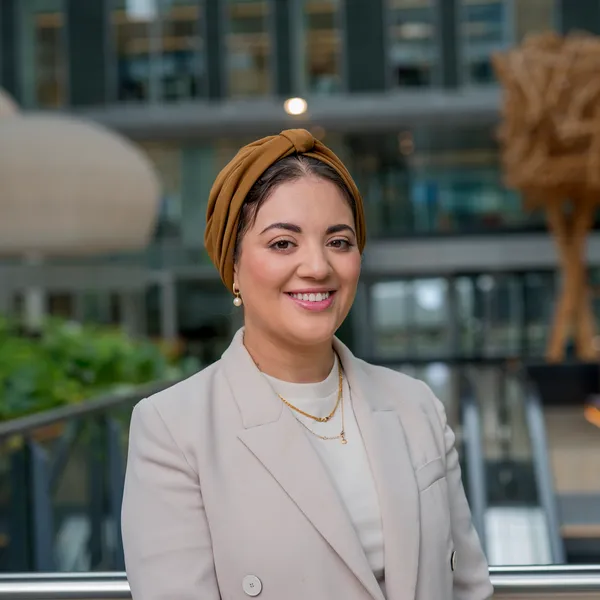 Manager Foreign Investments: Middle East and North Africa, Financial Sector Advisor to the City of Amsterdam