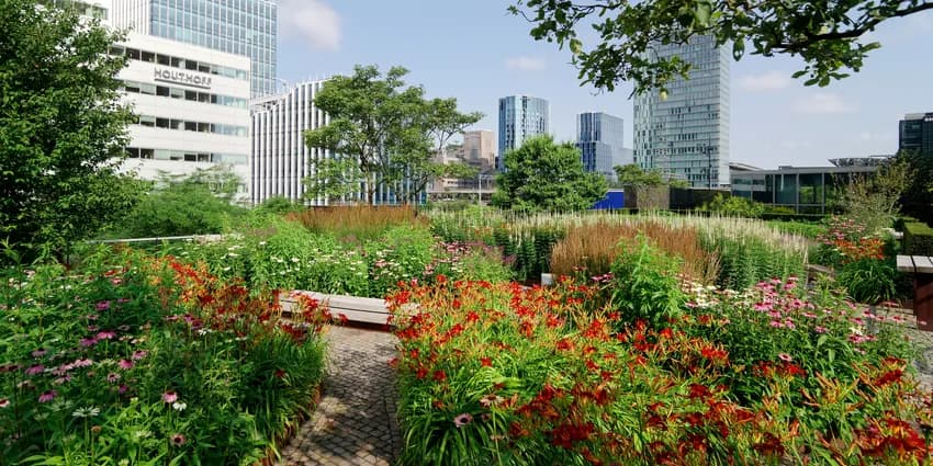 sustainable initiatives increasing urban biodiversity