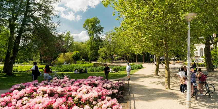 Blossoming Vondelpark