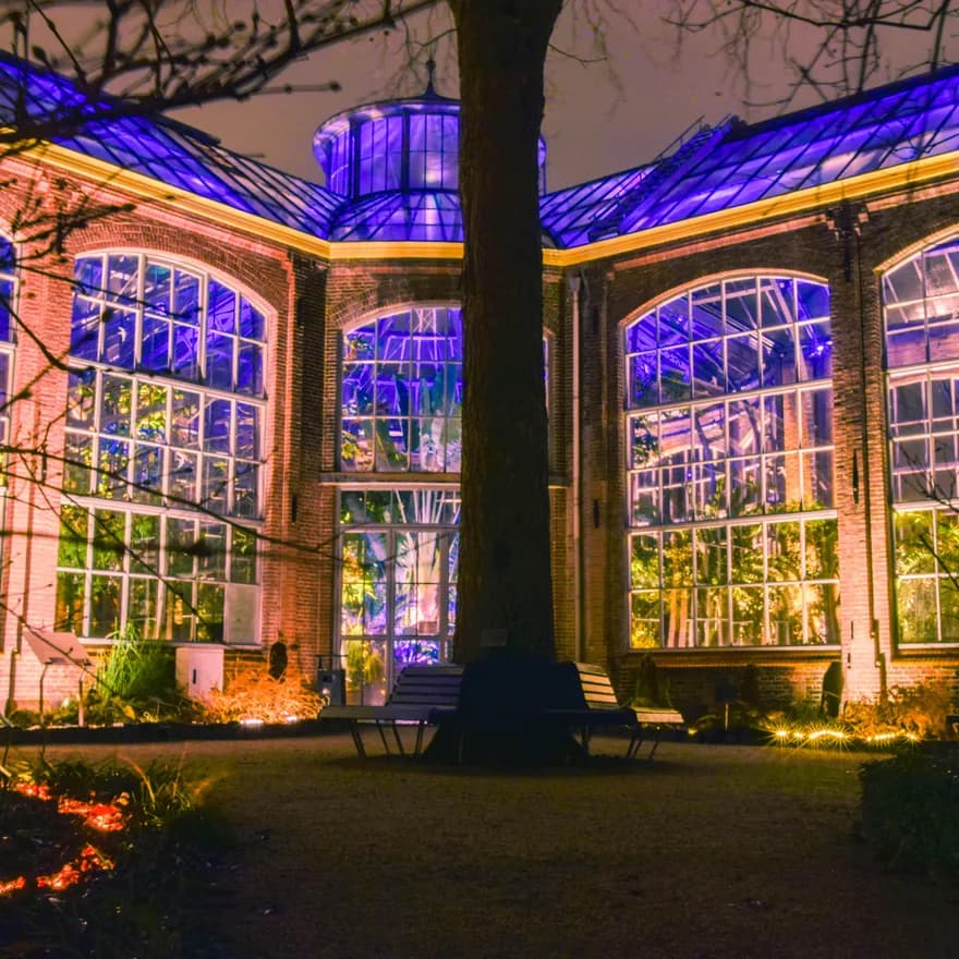 Hortus by Night botanical gardens