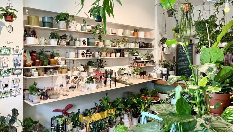 Wildernis plantshop interior