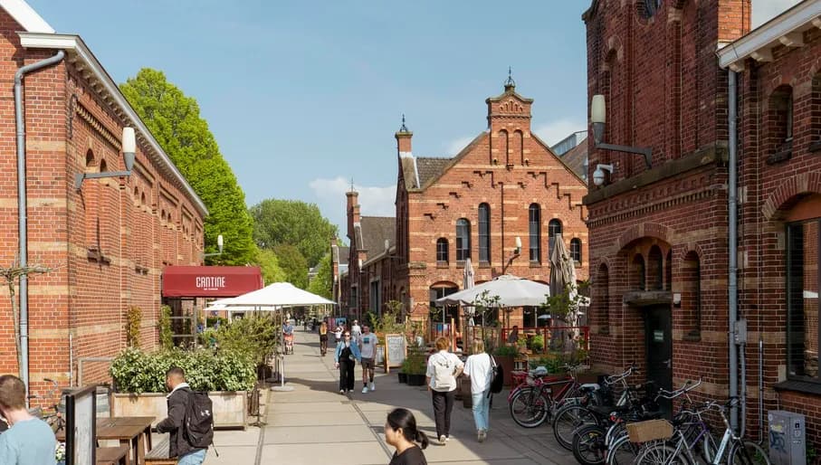 People on sunny Westergas