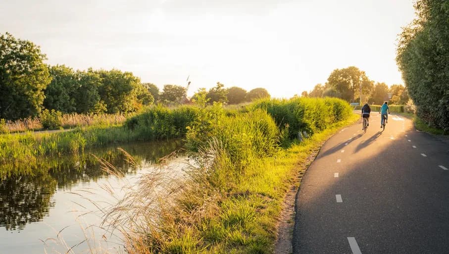 Two cyclers pass throurgh the Gooise Nature reserve.