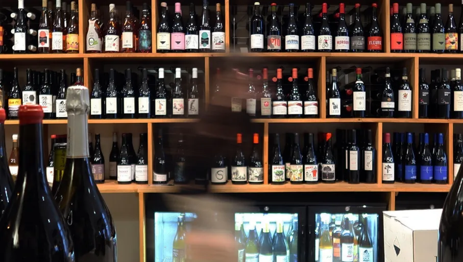 Rebel Wines wineshop interior and bottle display