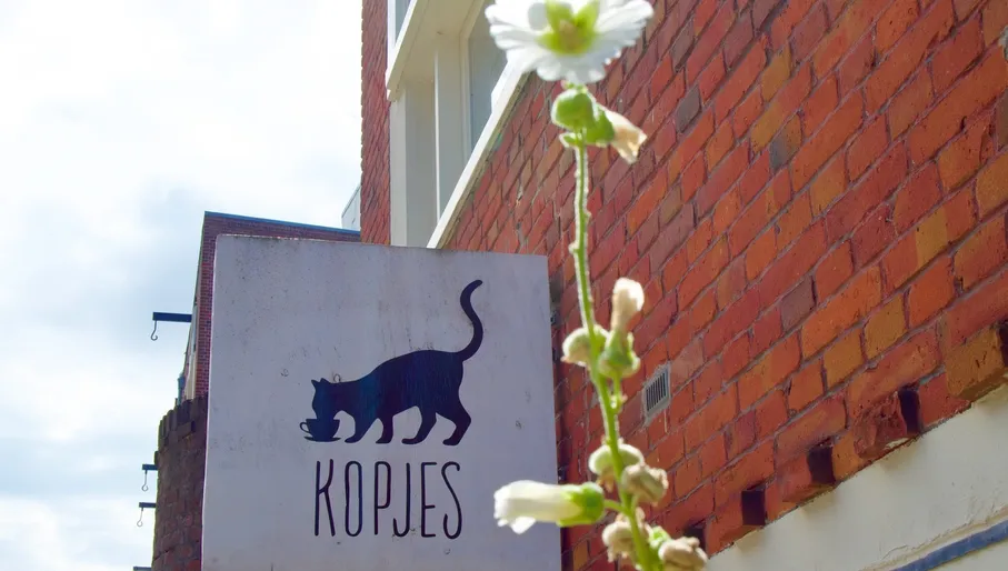 Sign of kattenkafe kopjes
