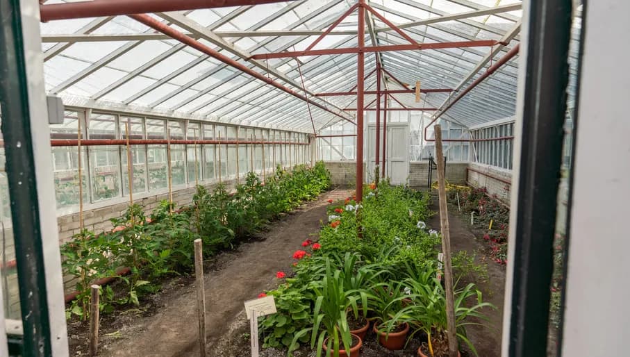 Historical garden of Aalsmeer.