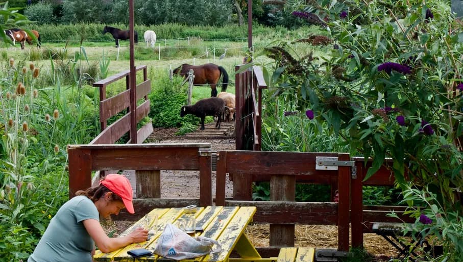 Person and animals in the Buurtboerderij