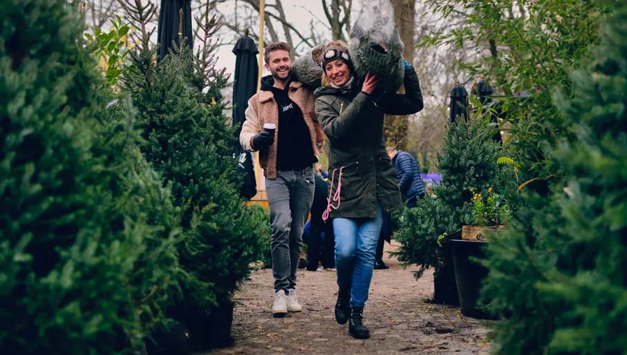 Couple picking up Christmas tree