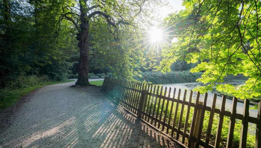 Haarlemmer hout city woods.