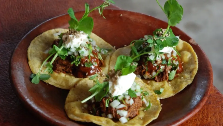 Coba taqueria signature dishes