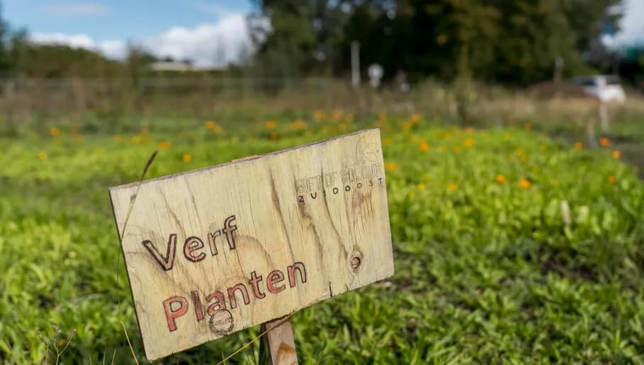 The Verfplantentuin Bloei en Groei at Nelson Mandelapark during 24H Zuidoost 2022.