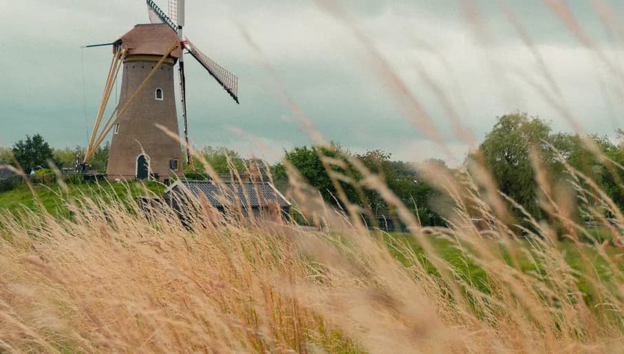 Windmill in Haarlemmermeer