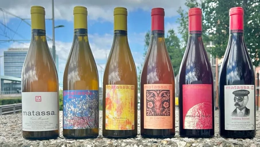 Zuiver Wijnen wine importer product display