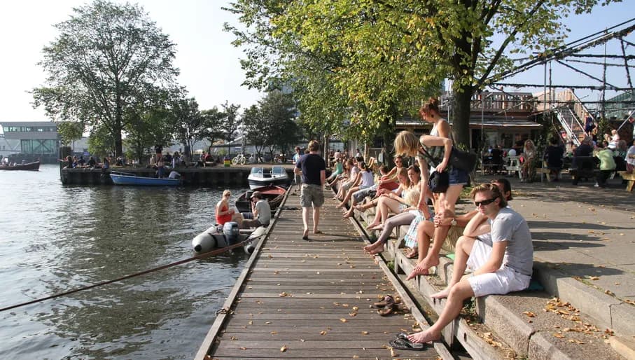 People sitting on Hanneke's Boom terrace and swimming