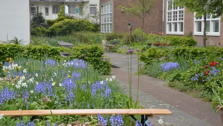 Tuin van Jan garden