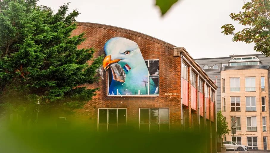 Please tag @juliakniese - trip Haarlem oktober