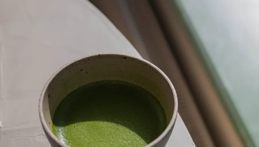 Matcha tea