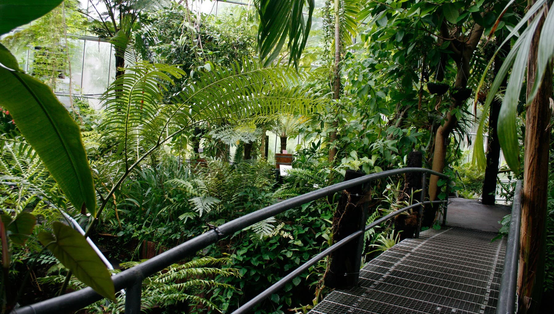 Hortus Botanicus Amsterdam