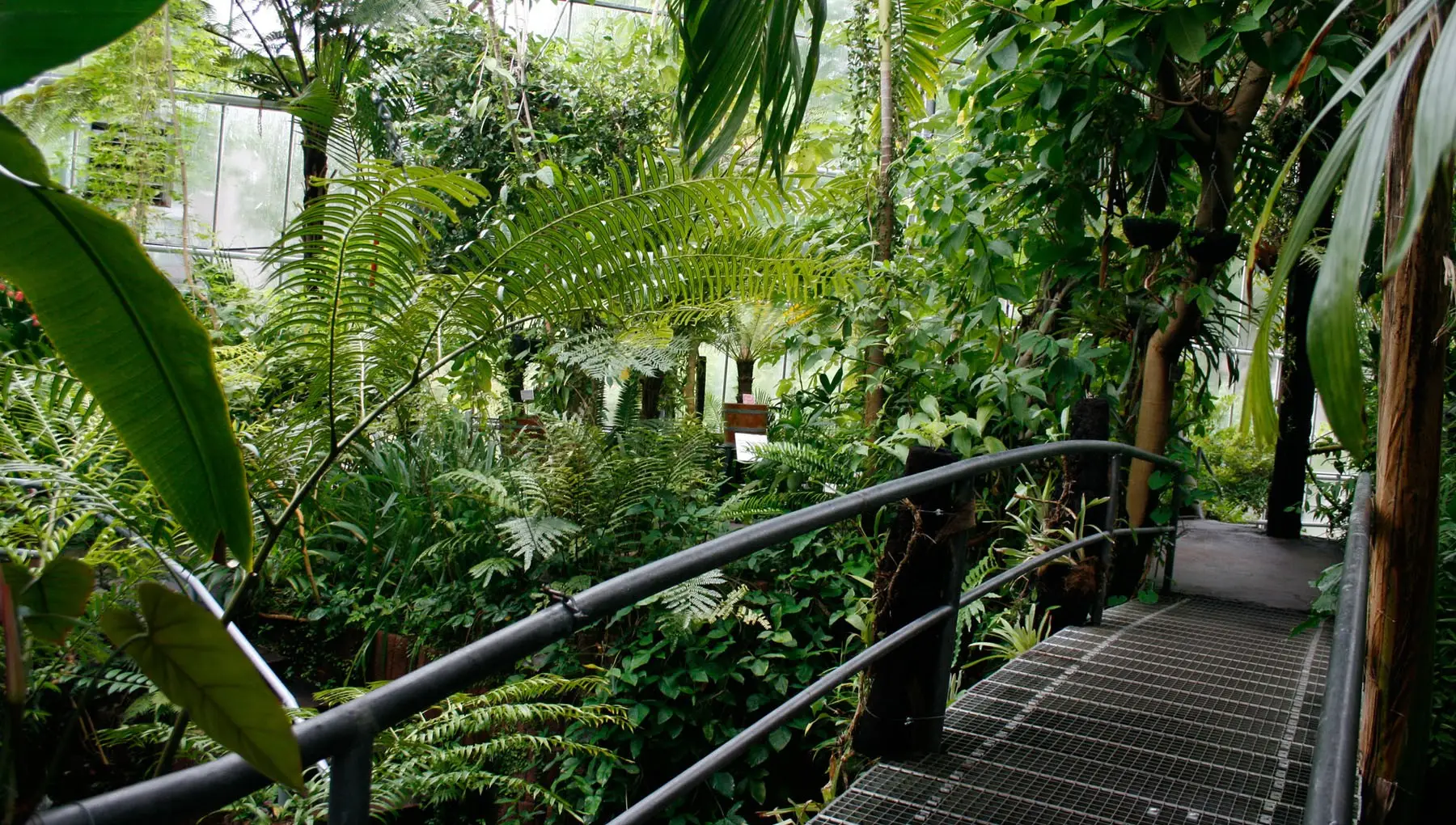 Hortus Botanicus Amsterdam