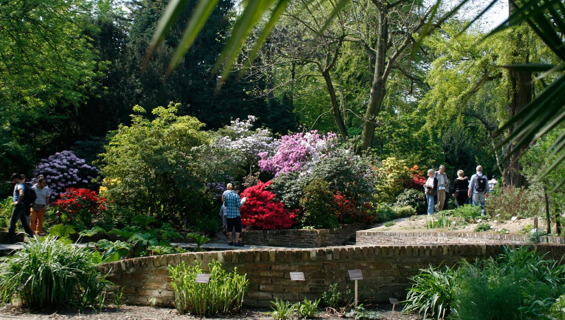 Hortus Botanicus Amsterdam