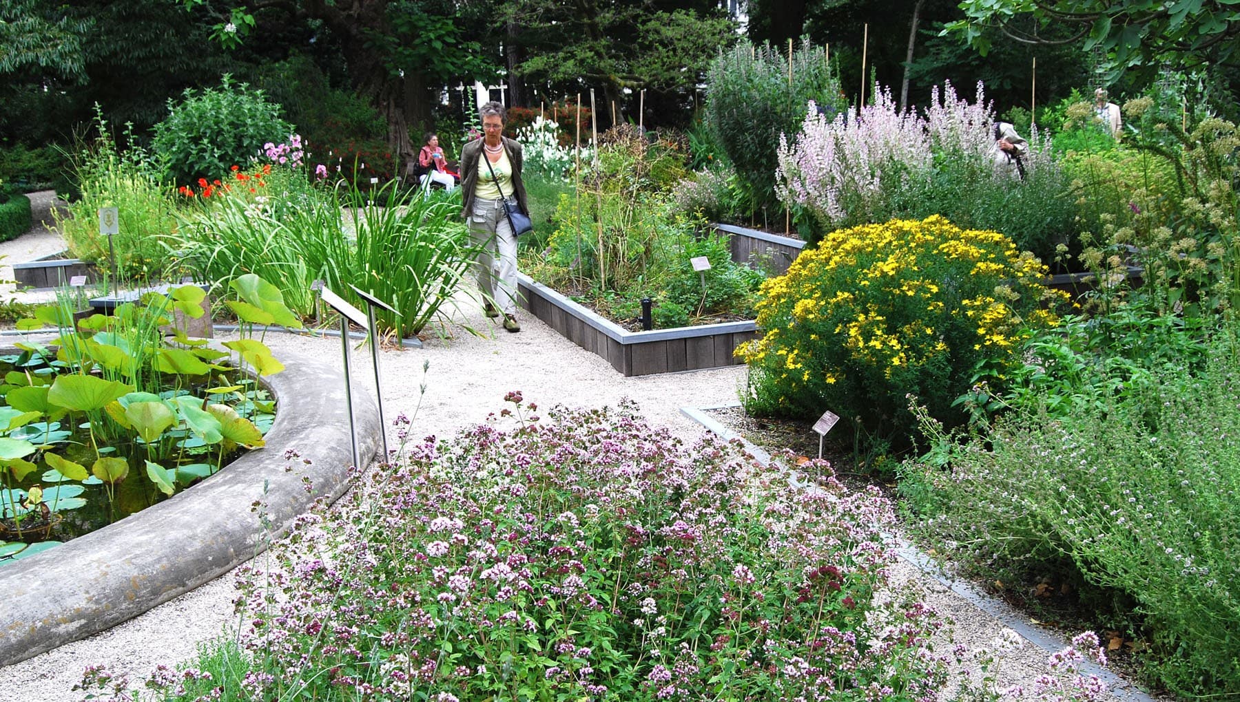 Hortus Botanicus Amsterdam