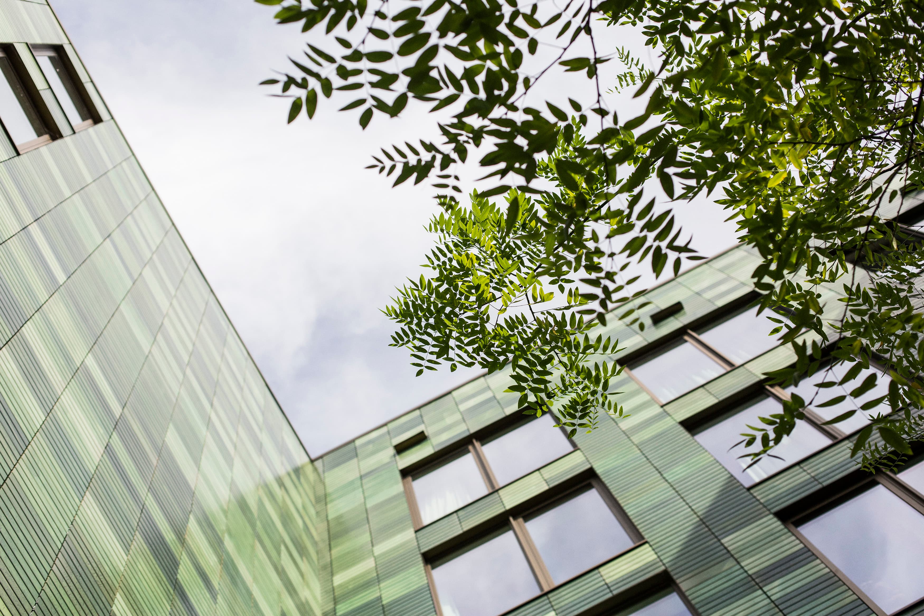 Hyatt Regency Amsterdam Terrace