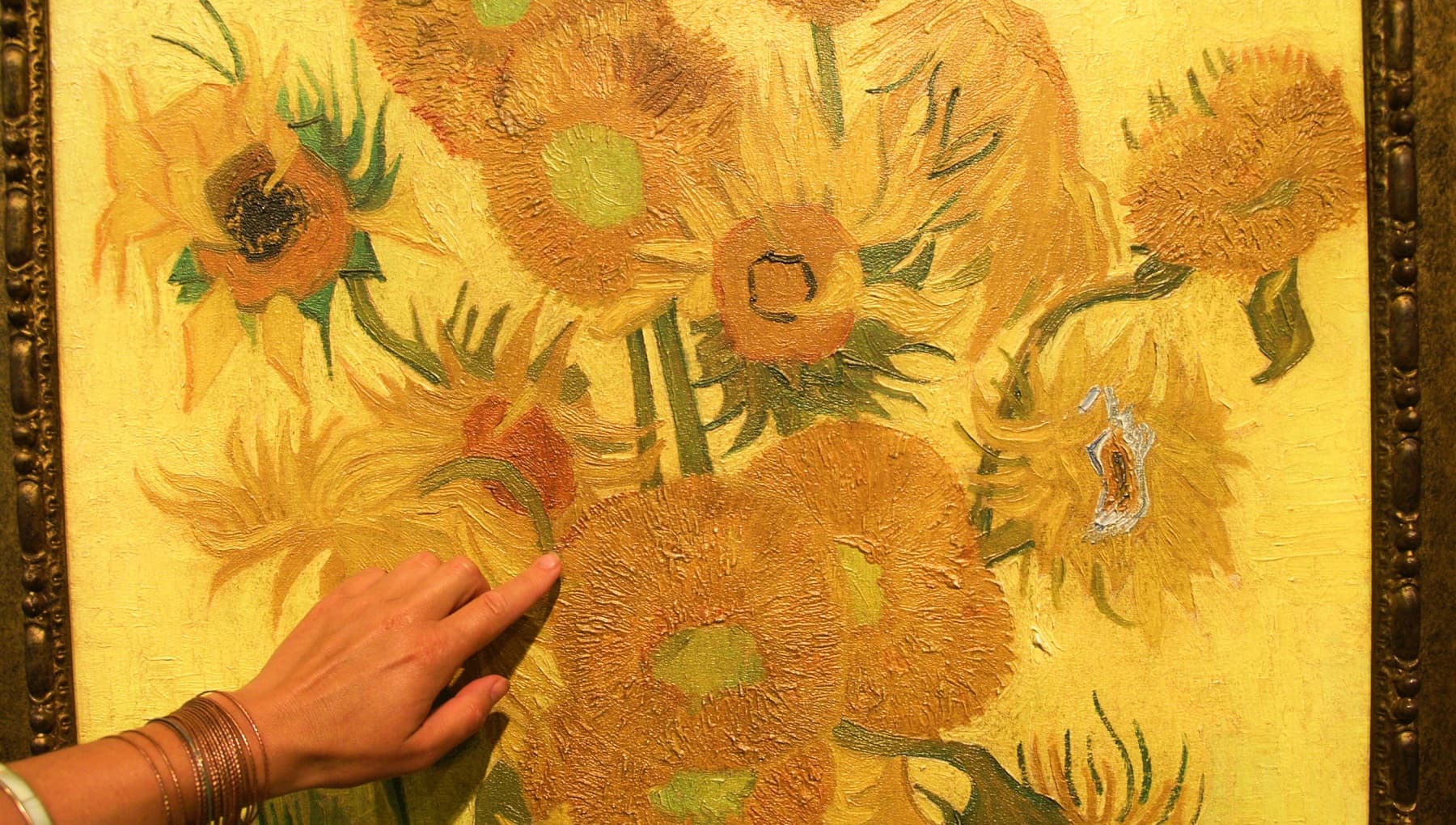 Amsterdam Odyssey private museum tour