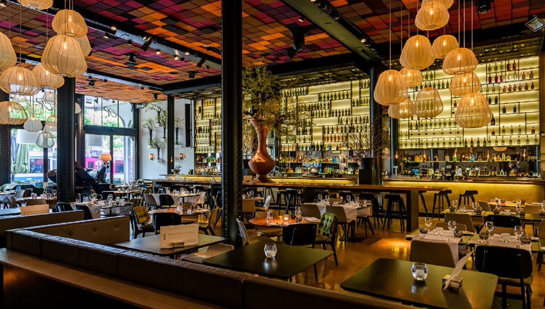 Van Rijn Kitchen & Bar