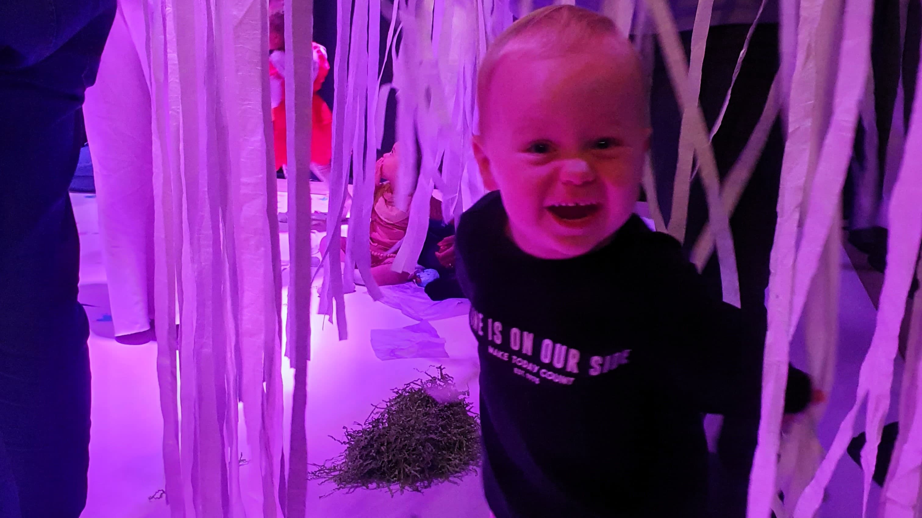 Voorstelling Vlindertuin