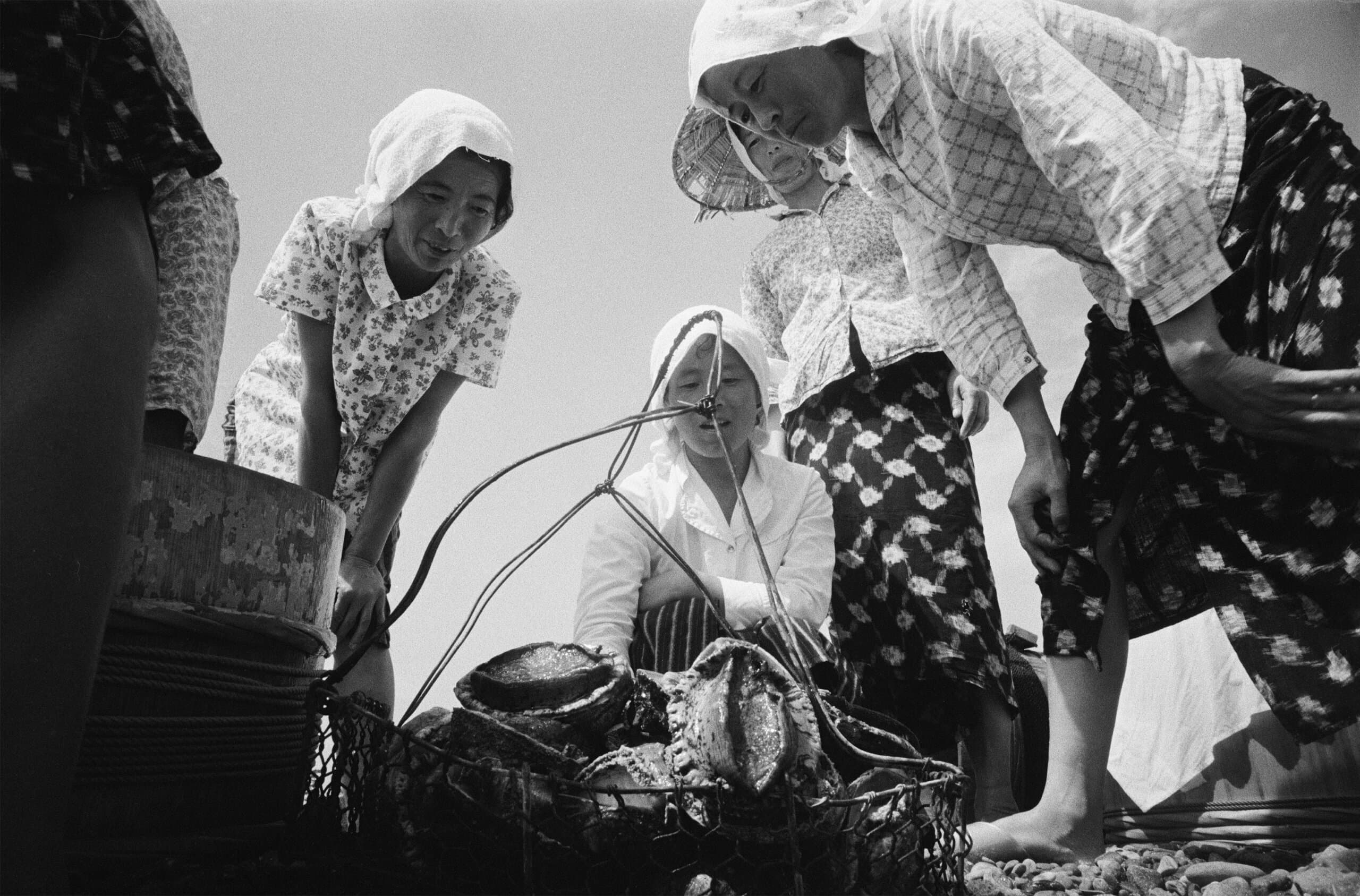 Opening van het abalone-seizoen
Koshika
,
1967 Courtesy of Uraguchi Estate