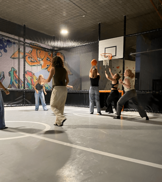 VROG mini- basketball