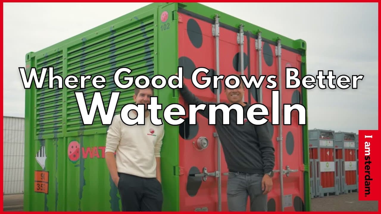 Watermeln - Where Good Grows Better | iamsterdam - Video thumbnail