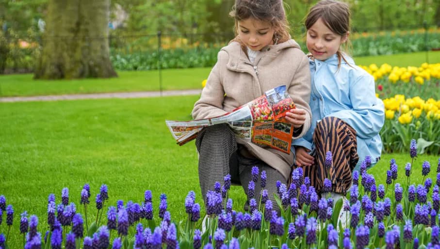 Children reading programme at Keukenhof Gardens 2024.