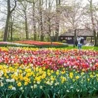 Man taking photo at Keukenhof Gardens 2024.