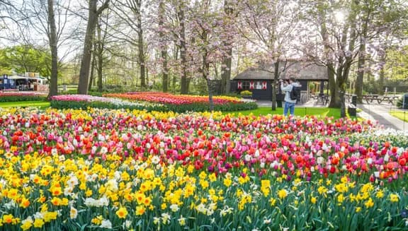 Man taking photo at Keukenhof Gardens 2024.